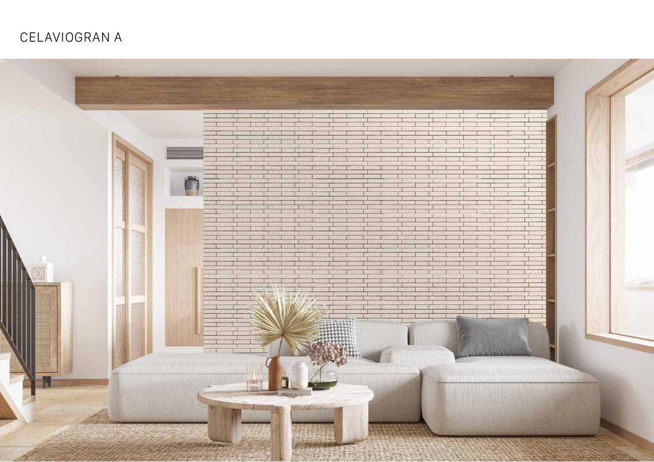 Gạch kiến trúc INAX Catalogue và Bảng giá mới nhất 2024 /Page 48